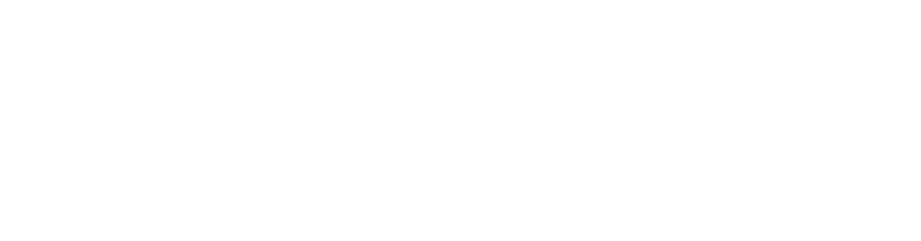 Logotip Finançat per la UE